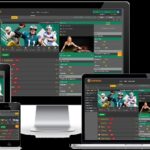 Innovative Features on Modern Sports Betting Websites